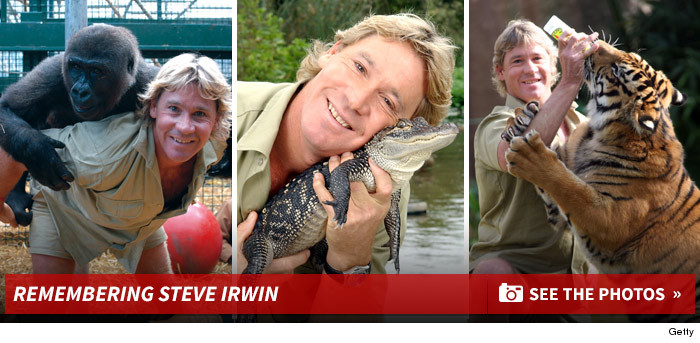 1105_remembering_steve_irwin_footer