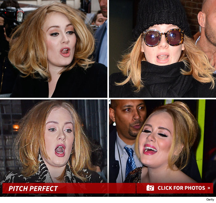 Adele's Resting Pitch Face -- Say Hello to Her Silent Singing Pics ...