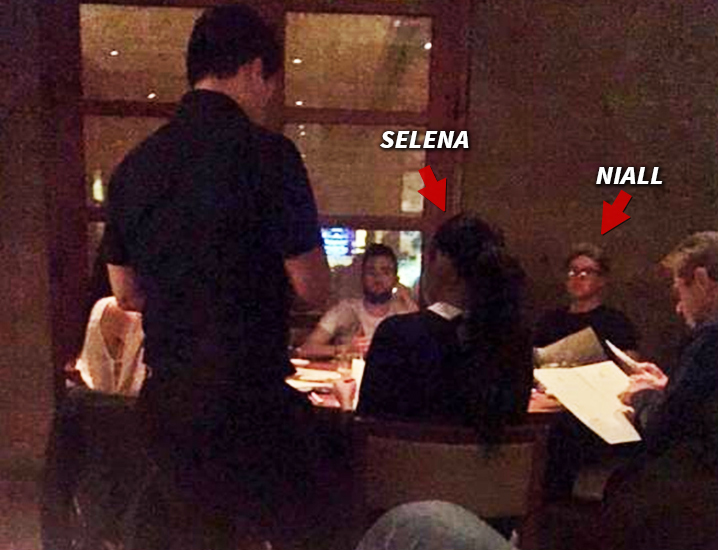 Niall Horan and Selena Gomez -- NO Direction ... Strictly in the Friend Zone (PHOTO)