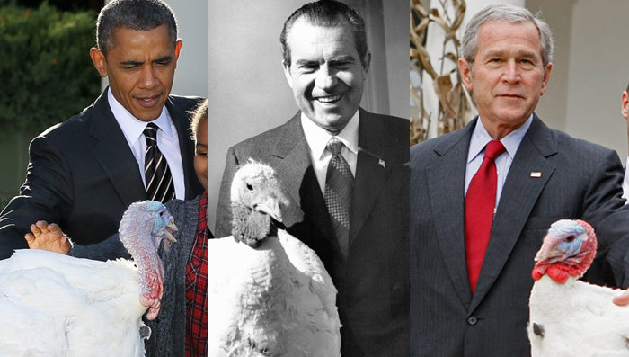 Presidents Pardon Poultry -- See The Thankful Turkeys!