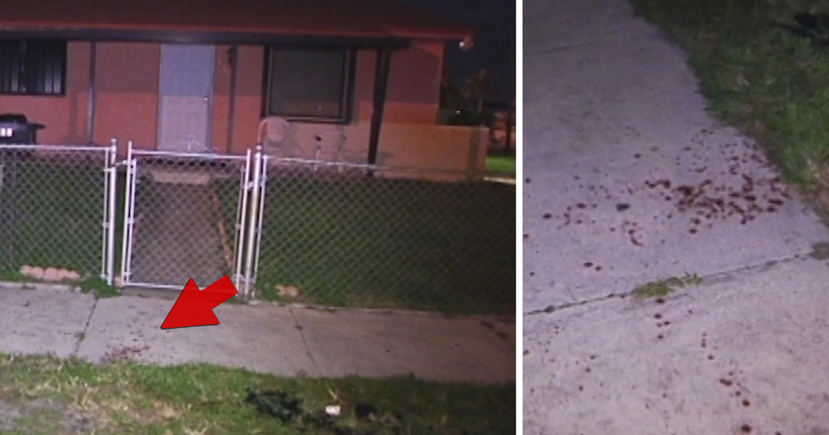 NFL's Stedman Bailey -- Video Of Bloody Crime Scene ... After Drive By Shooting