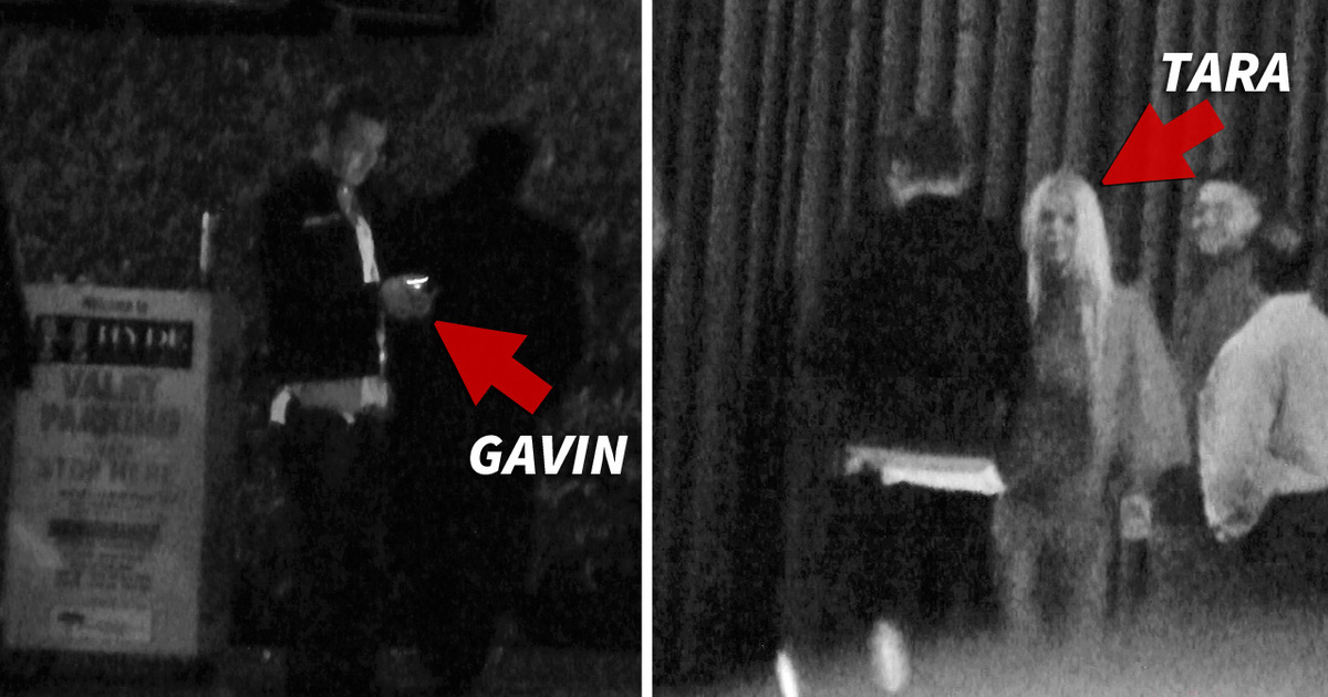 Gavin Rossdale -- Hey, It's Tara Reid!!!