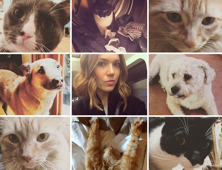 Mandy Moore -- My Divorce Is Going to the Dogs ... and Cats Too