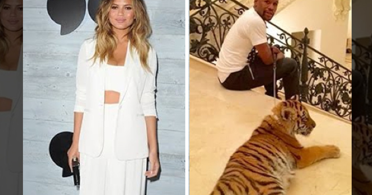 Floyd Mayweather -- Rips Chrissy Teigen ... Back Off My Tiger!