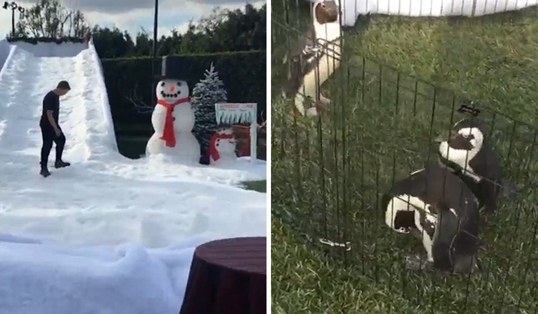 Jimmy Iovine -- So This Is Christmas ... Taylor Swift AND Penguins!