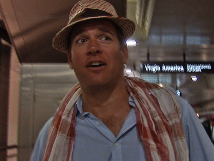 Michael Weatherly Pleads No Contest in DUI Case