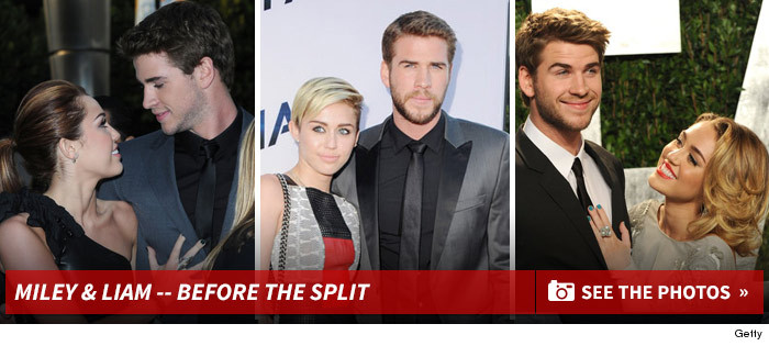0114_MILEY_LIAM_SPLIT_FOOTER