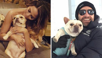 Stars Snuggle Their Pooches To Celebrate Cuddle Up Day