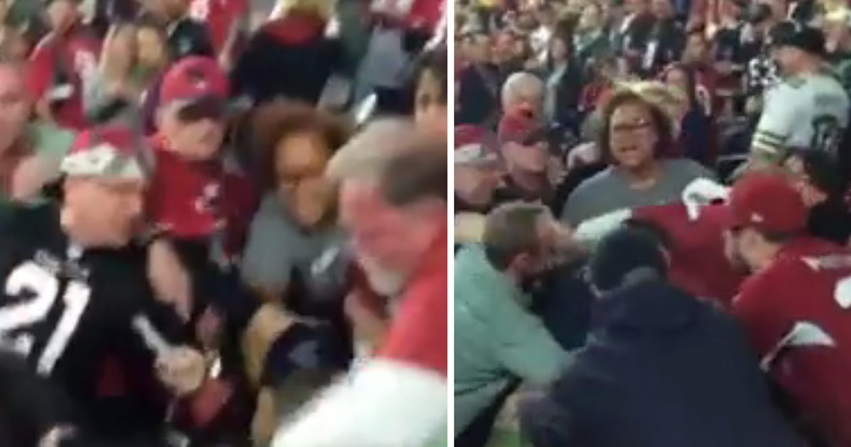 Packers vs Cardinals -- Brawl in the Stands ... Crazy Video