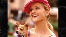 'Legally Blonde' Chihuahua Dies