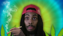 Waka Flocka Flame -- I'm Back On the Horse After My Weed 911 (VIDEO)