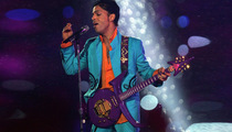 Prince's Super Bowl Performance Photos