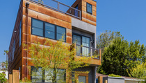 Don Cheadle and Girlfriend -- Our Remodeled Eco-Friendly Crib ... Yours For $2.45M! (PHOTOS)