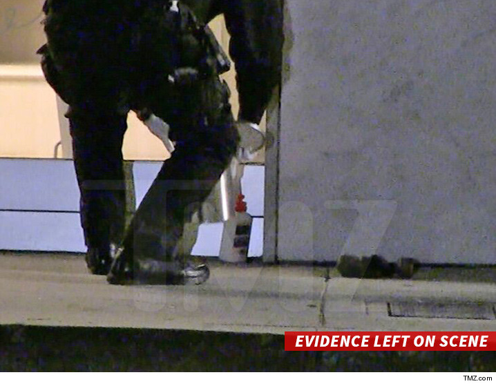 0607_dash_store_evidence_tmz_wm