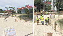 Disney Resort -- Building Fences After Alligator Attack (PHOTOS)