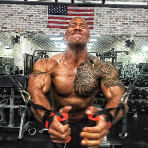 the rock and vin diesel furiously jacked photo 15 the rock and vin diesel furiously jacked photo 15