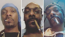 31 Smokin' Shots Of Snoop to Celebrate National Dog Day!