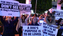 'A Dog's Purpose' Opens to PETA Protests (VIDEO)