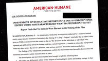 'A Dog's Purpose', American Humane Ass'n Has No Real Problem with Video 