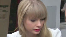 Taylor Swift Fans Beware, Security Means Business (PHOTO)
