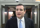 Ted Cruz -- Sorry Snoop, Trump Gun Video is Wrong (VIDEO)