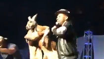 Mike Epps Kangaroo Video, Feds Taking Closer Look