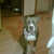 Commenter's Avatar