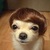 Commenter's Avatar
