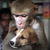 Commenter's Avatar