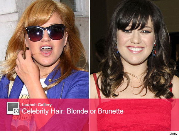Blonde on tmz kelly Blonde on tmz kelly